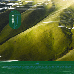 西西版视频直播欧美香蕉播放你懂的
