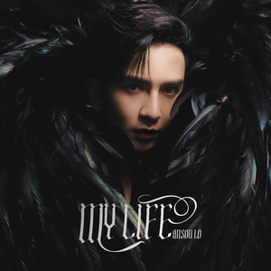 西西版视频直播欧美香蕉播放你懂的
