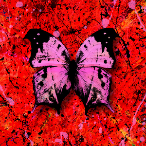 西西版视频直播欧美香蕉播放你懂的
